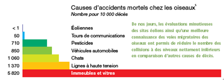 Causes Deces Oiseaux